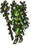 dryad